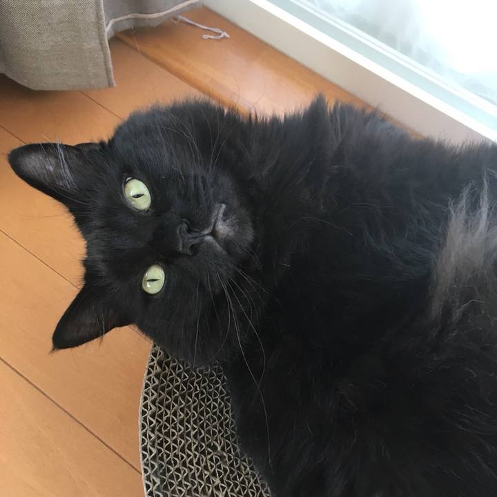 68019bb4 4ac2 4721 857f 7d5af704dd14 1528244139984