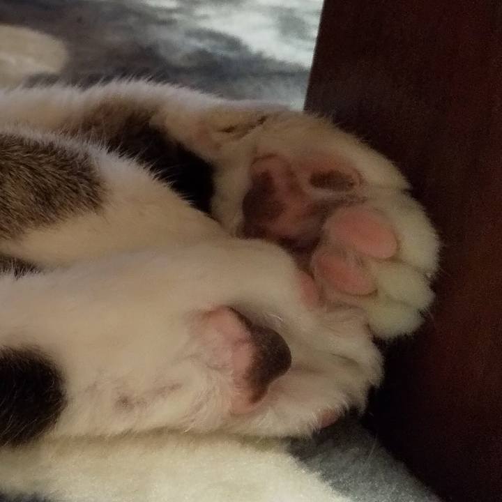 6801a498 823c 4fca adf1 7000d1ac8ec3 1768779640200