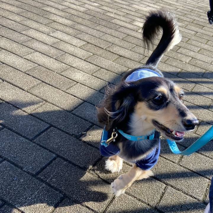 6801bcd4 6e08 4bb6 9bcd 477d770956d9 1729726737644