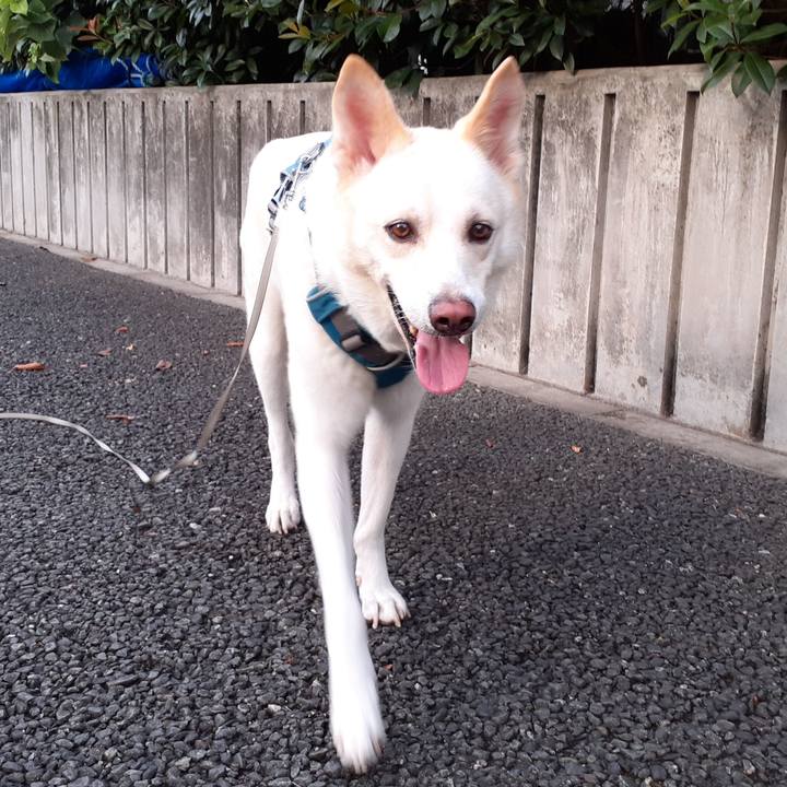 6801fd2b 7825 4466 b5d1 95e99a5b3dbb 1661681548761