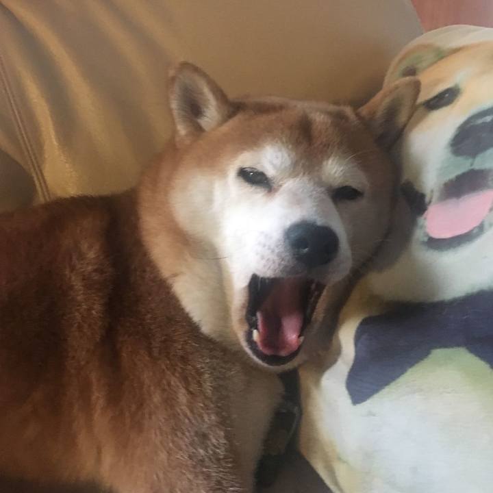 6801ffe1 2ad2 4c01 a3a7 37348b16af4e 1569641007668