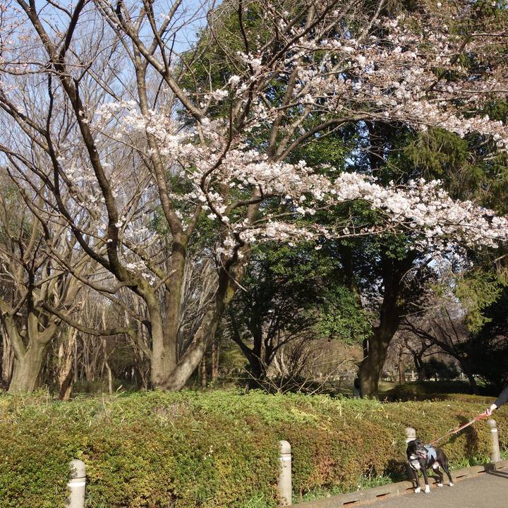 68020327 479c 4ea3 ae45 a120573b7f67 1742948315076