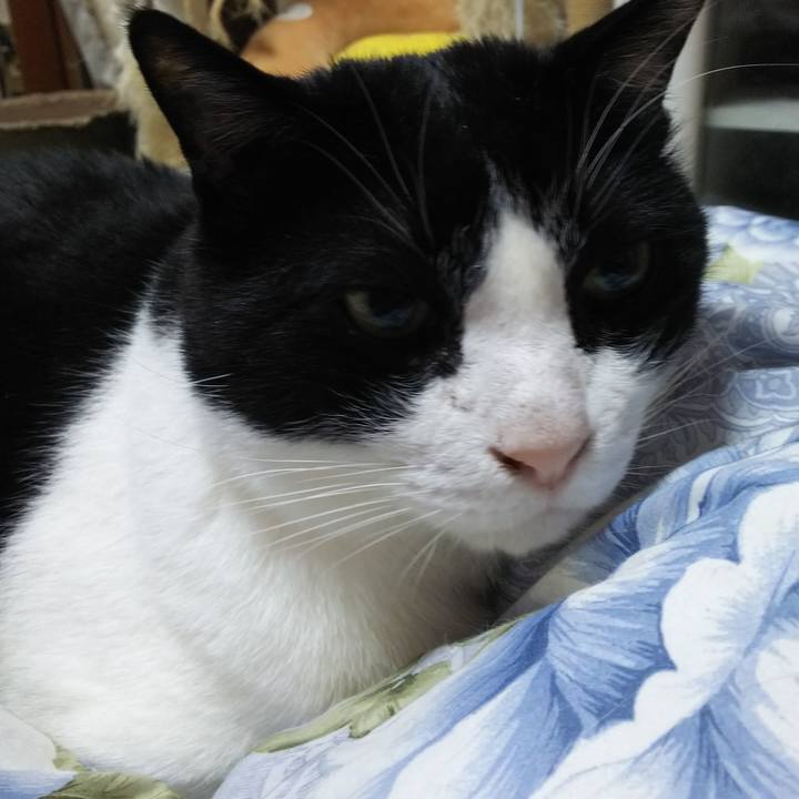 68026d86 2412 4c31 9018 91beb9db5dd6 1553205951025