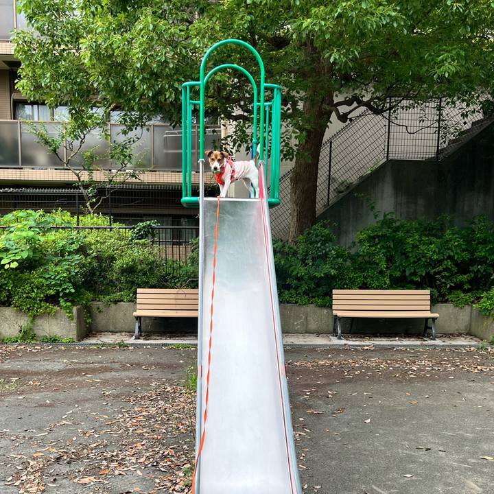 6802d197 75a2 4083 a251 e0e4893b7469 1717718590941