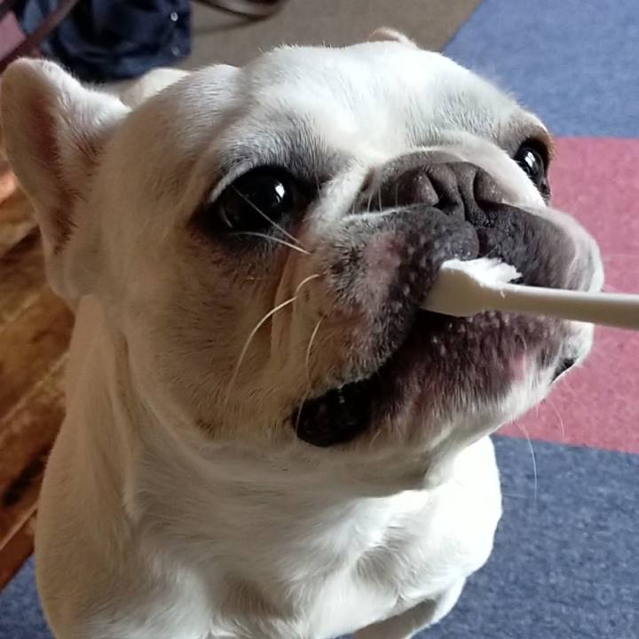 6802e830 1119 41ce b997 fa0c5ee96942 1658011268066