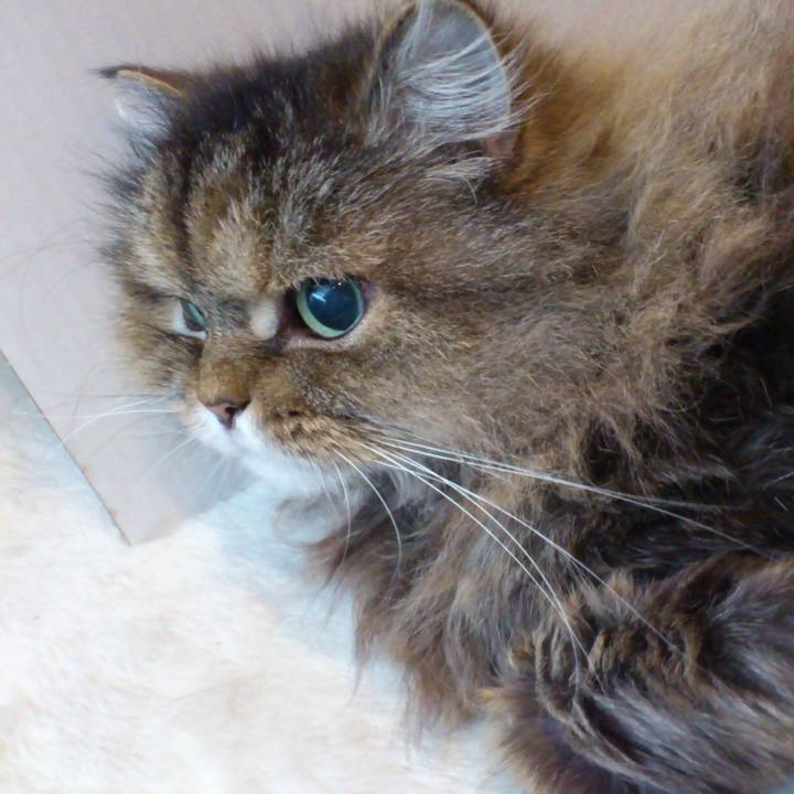 680302cc 1b12 4240 951b 5362420a4a47 1510162135826