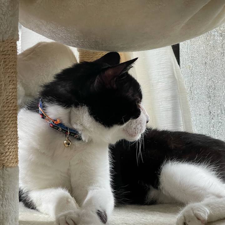 6803107f f714 44de b43b 1a1d822ab88b 1628821691514