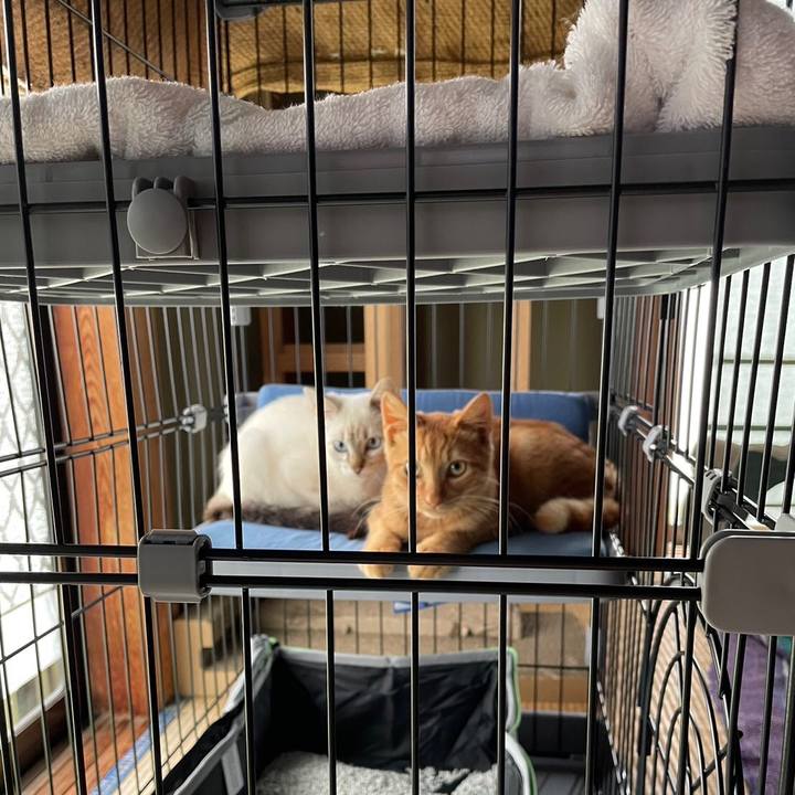 68036c07 e16b 4301 9b44 24162d4c0e4b 1729114064623