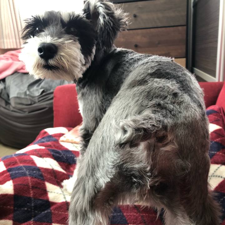 680376e3 1575 431e b737 c418afe5a14a 1595993826656