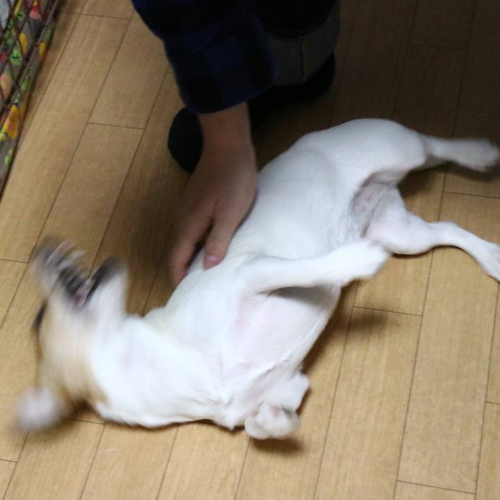 68037847 ac1b 4a39 b84f 3439d98f6179 1546164668273