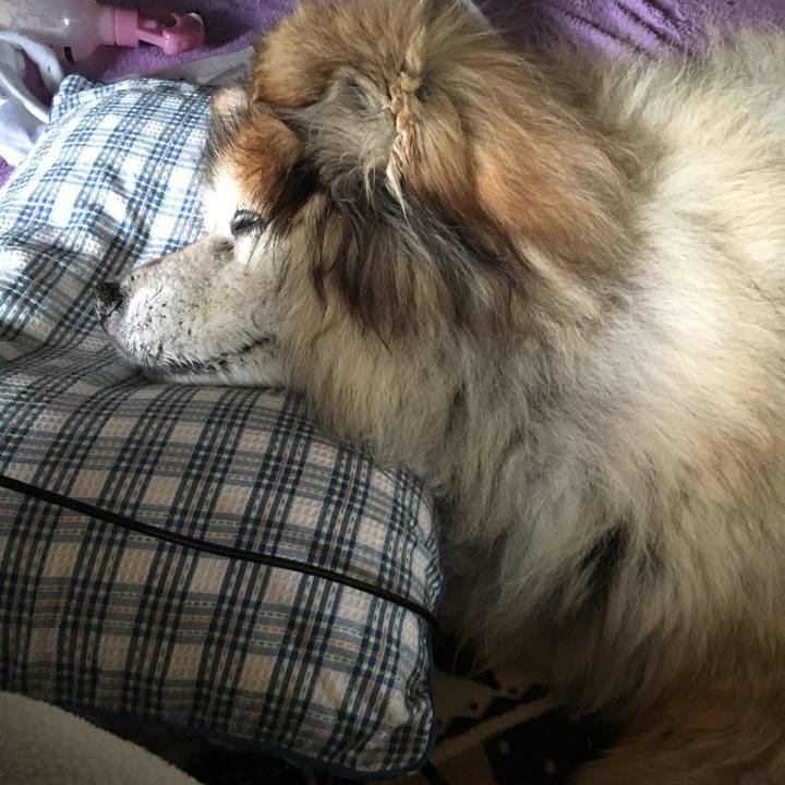 6803985a eec4 416c 9161 ecd651f2bc7d 1616889152710