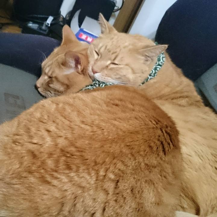 6803c70f 53d3 4660 aa59 21192efa6d8f 1523253479407