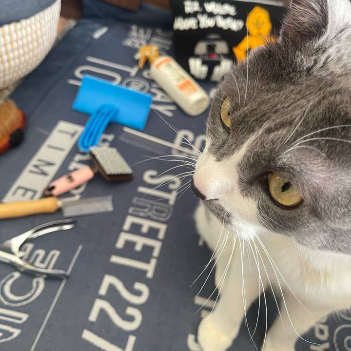 6803cb22 5d31 4e48 af41 98fed78869fa 1707619274977