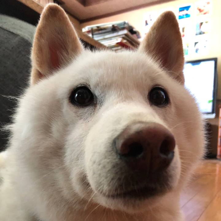 6803d57d a582 4213 83a0 ac32ccac4fbe 1718771722540