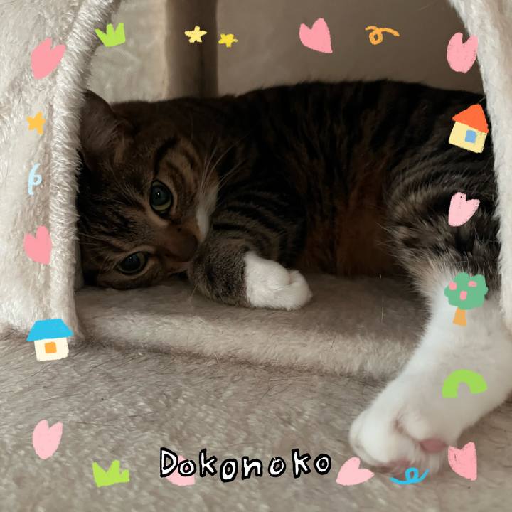 680446b8 5454 4985 ba88 cd1ac9b6c0a0 1741424575468