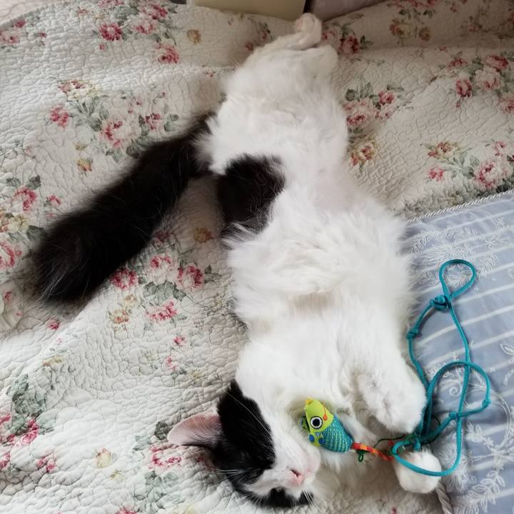 6804499d e977 4305 9a5f 05195e86957a 1538342907397