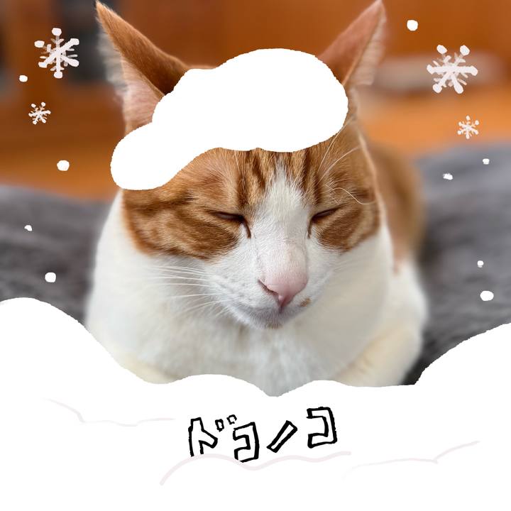 68048813 053d 42f5 8f2e bf59970ce149 1771984883386