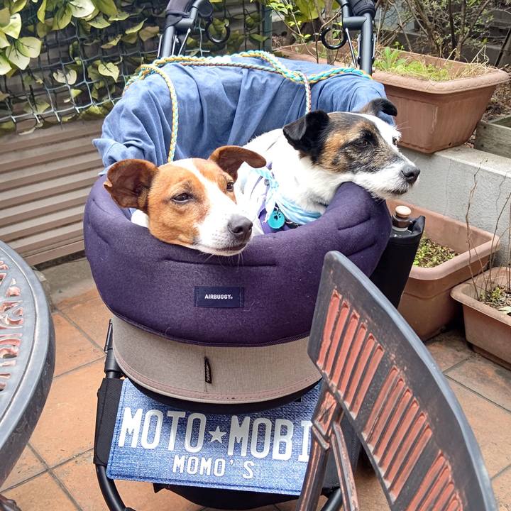 6804e5c7 c04d 4241 bc39 51af6c72b97f 1680434023404