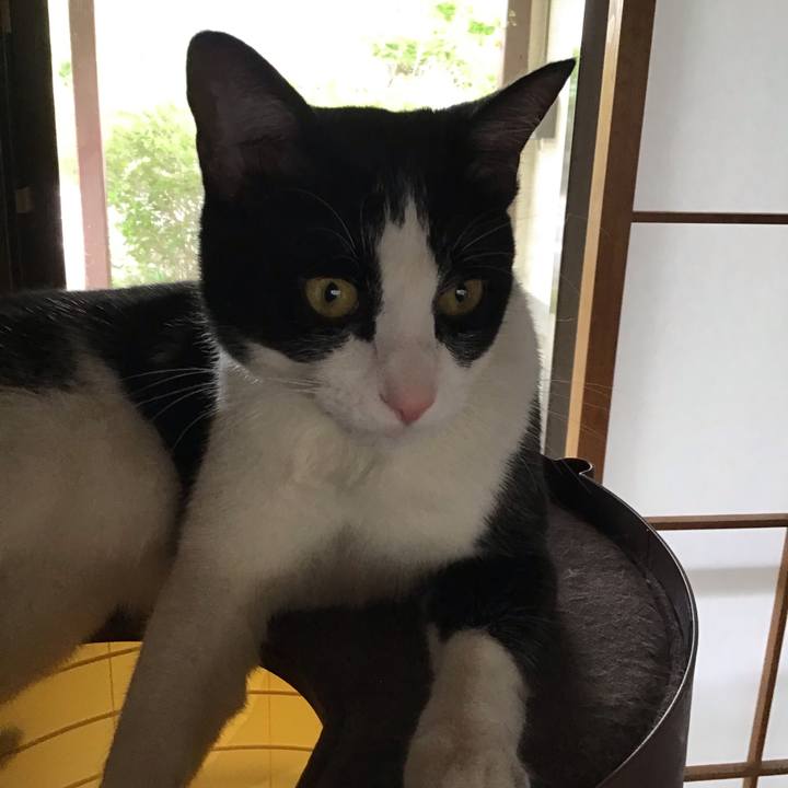 6804f250 2e78 4425 b75a 424febd2a125 1651041055168