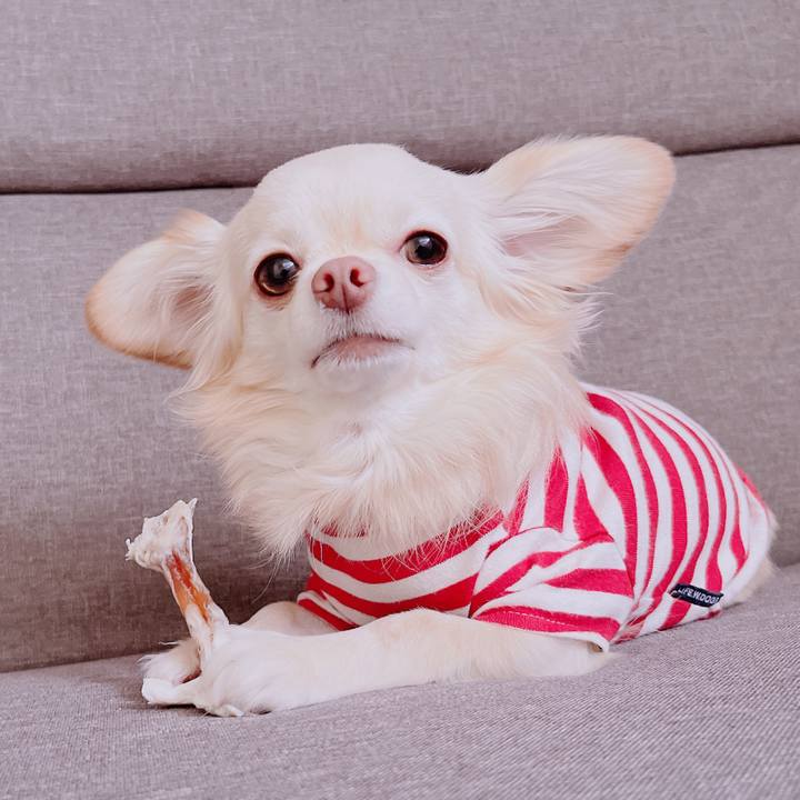 68050c39 601f 40b3 9094 fb2665a27bf9 1678957806165