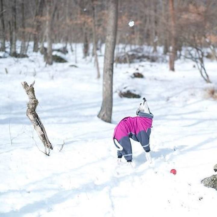 68053439 86c9 486d ab1b 58123cba0d60 1519553351495