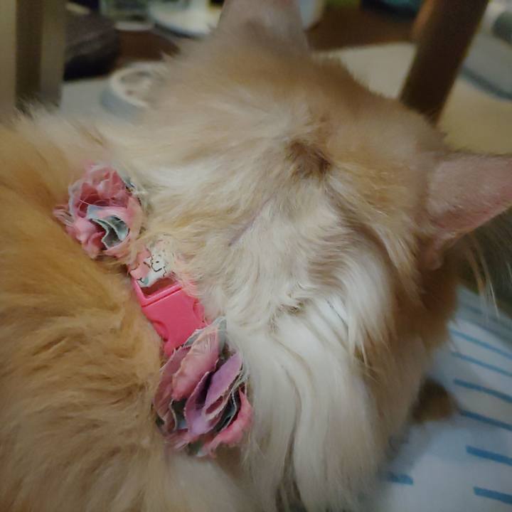 680534c9 3179 42c8 b6dc c4463e293f89 1684420225641