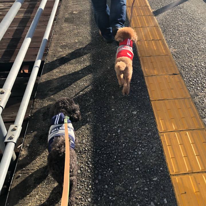 68056116 5ed5 4e5e 91c0 cf8568966256 1602941859735