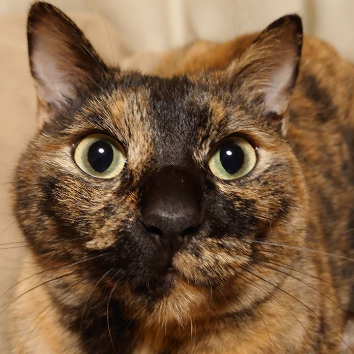 68059b13 2196 43ca aa53 ac553ff91cf5 1758797596008