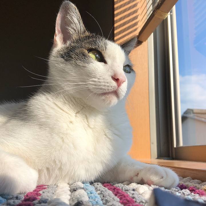 6805cb6e d15c 416e a413 e7c6b1f072ce 1661727764137