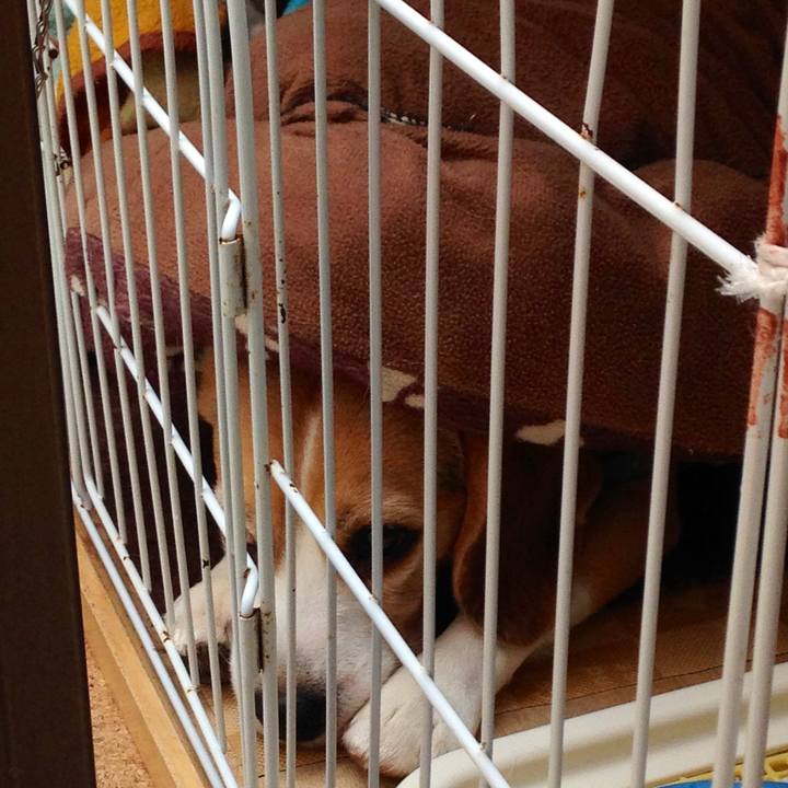 680617e9 9b86 4db5 afc7 33c69bc93d5b 1745458122412