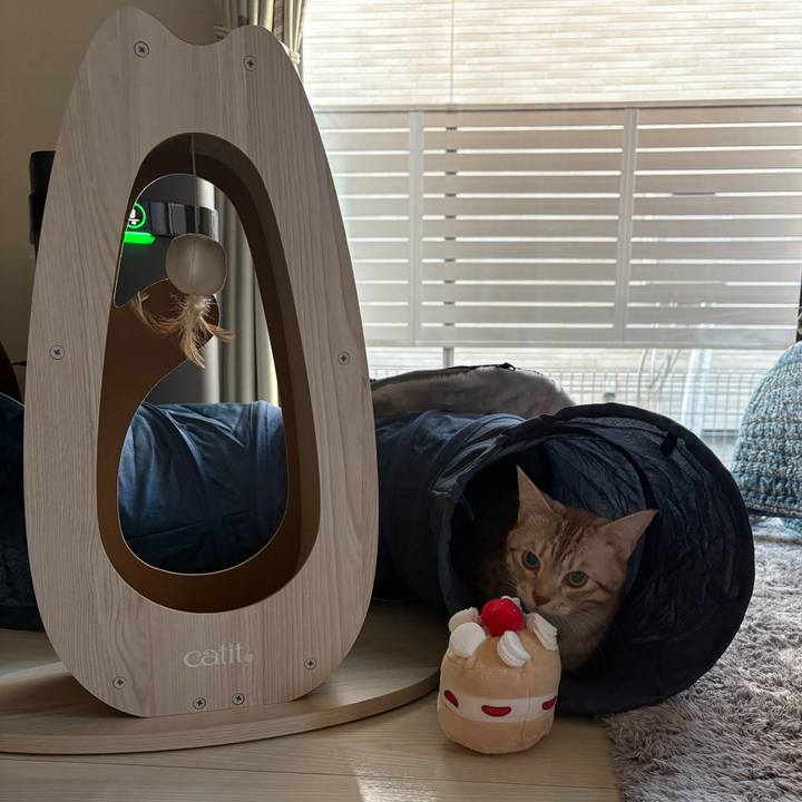 680655b8 a587 4637 ab29 d79c2e706ab0 1767567240367