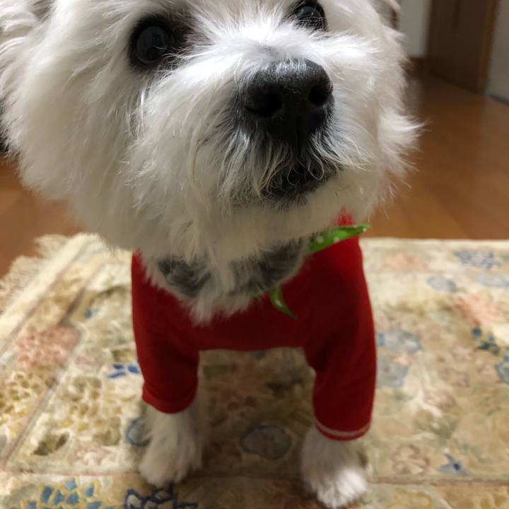 68065a76 d48d 4e44 bf8c 021525cff80f 1666180385463