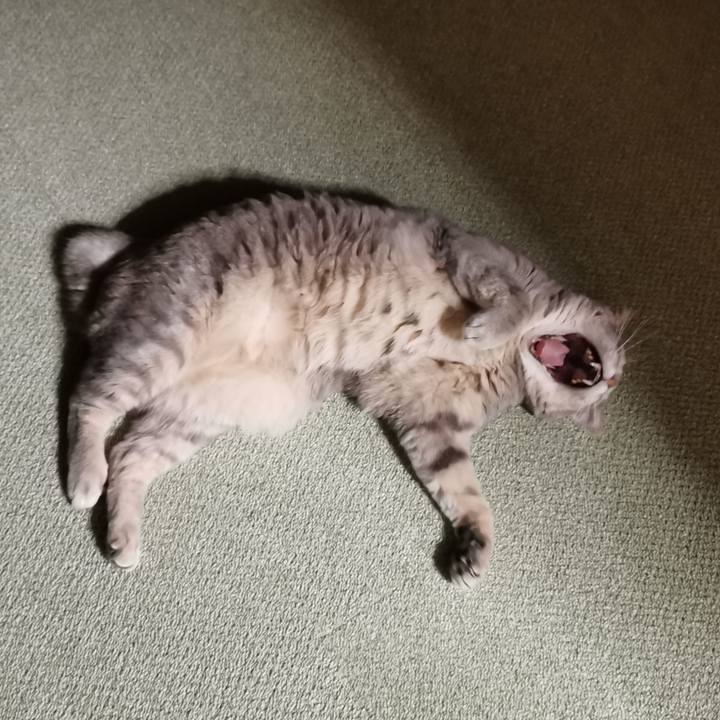 6806a05c 23e7 450c af75 a5d31657f92c 1658726573840