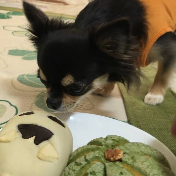 6806ca74 7386 421b a5c7 750b6d792be8 1572506088688