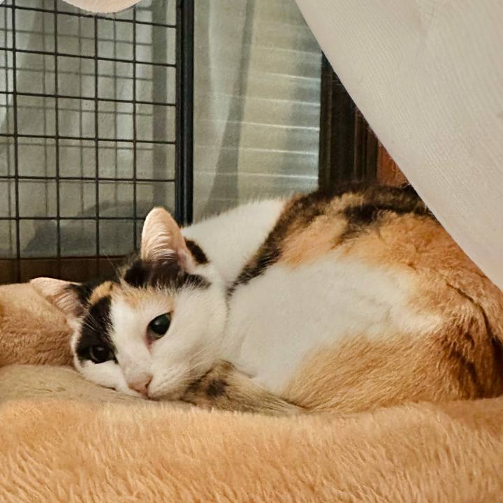 6806f0c9 28e9 424c 9505 2b72ce8be3a9 1708478717158