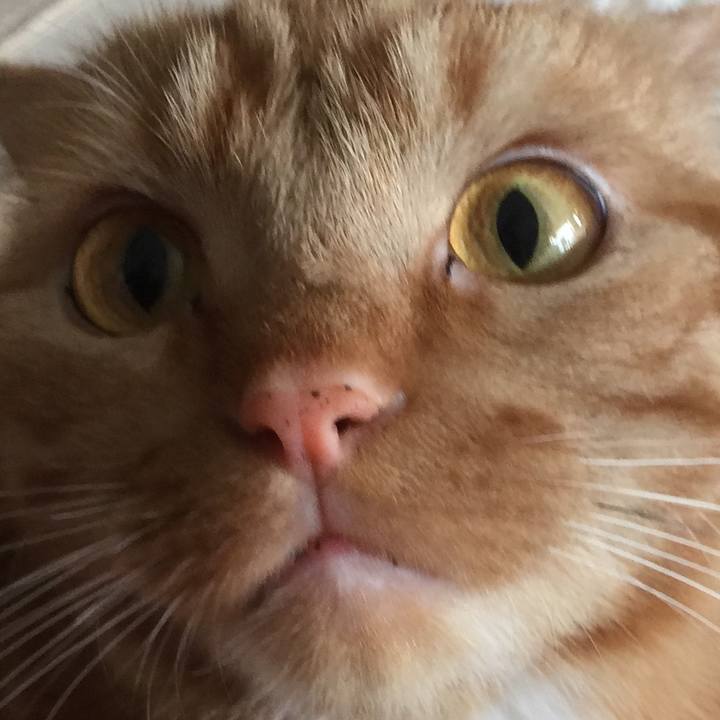 6806fdca 9605 49df 89b5 3919884ce969 1556325393719