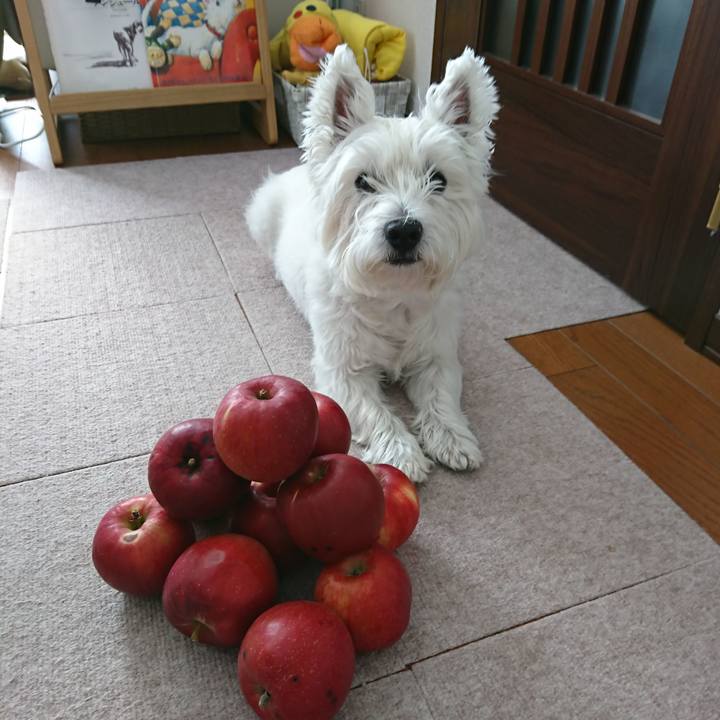 68070fe0 9815 4622 8dff 624fbfda5e5d 1540728087547