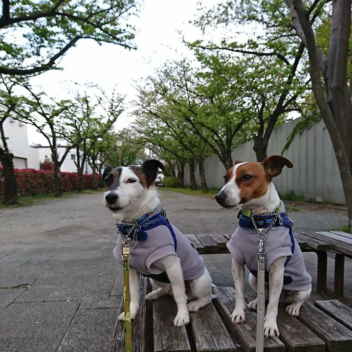 68072134 ea8c 4235 80fc 622b779df40c 1555539710297