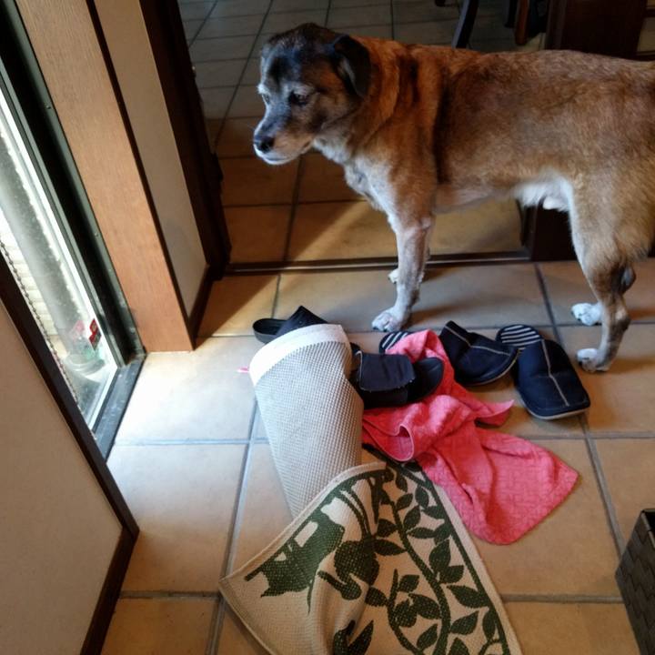 68073538 fe8c 449b b959 6182f8b642e3 1750395276309