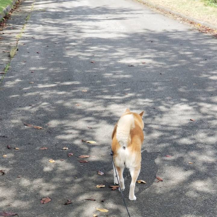 68075603 2482 498c adc9 01030e364c22 1726981453116