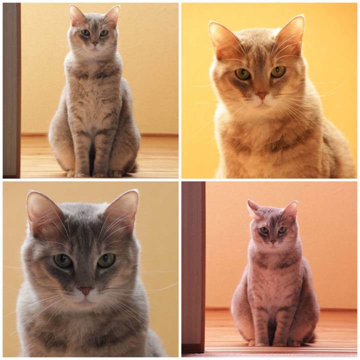 68075695 1d86 428a 8af1 a3eb1f2dc99d 1572652913256