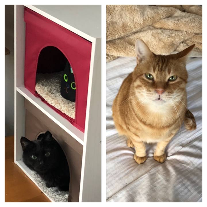 68076091 4168 47de bfb2 551cab50944b 1583963145551