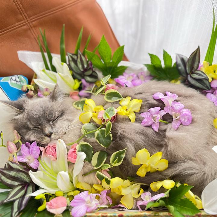 68077a41 607e 4f0f 930c 9cf6ff615116 1690887510827