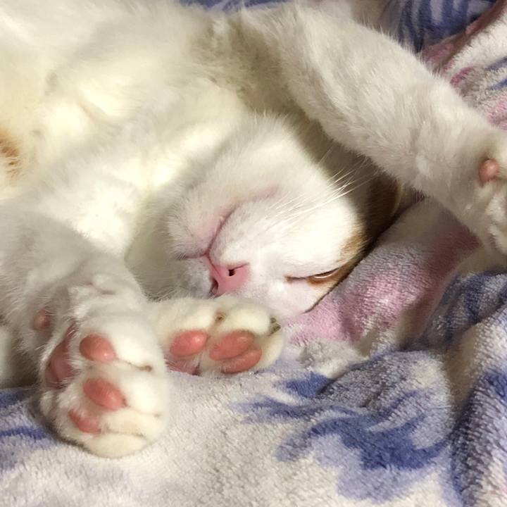 6807bf74 e5d5 4082 b851 9286a58e542a 1538918643830