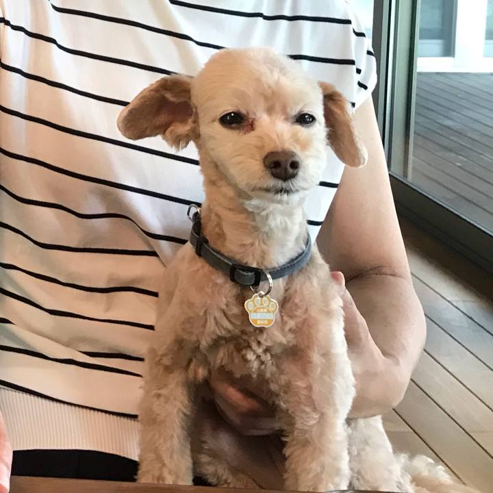 6807ce25 6d5b 477f a270 e5ef9e68413f 1566174708134