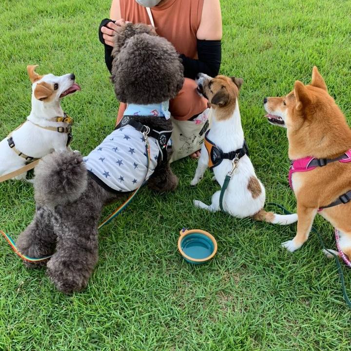 6808580c ba76 40e1 b92a 00a9956a7ac5 1594894063264