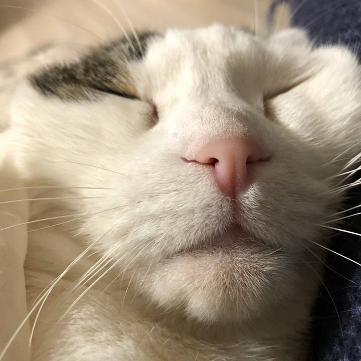 68087bb9 3387 4df7 9a9f bcf7ae9c5c86 1608615884932