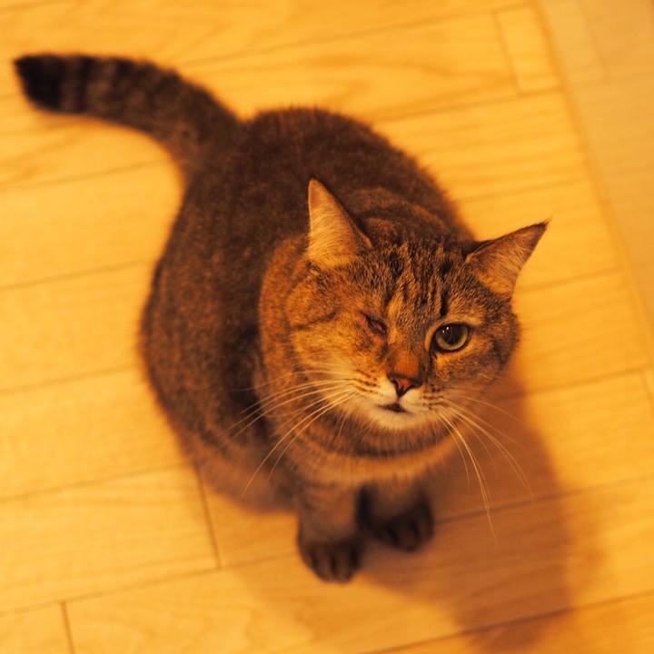 6808bba7 0e9c 4071 8ea0 de7291267fe5 1540126526854