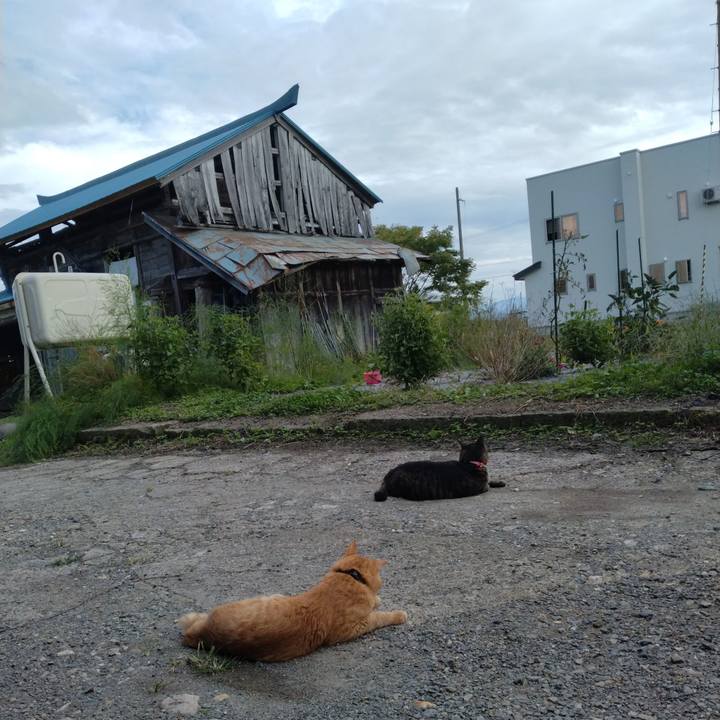 6808bc0b a97c 4408 8c94 de3fffb89cd5 1664343649274