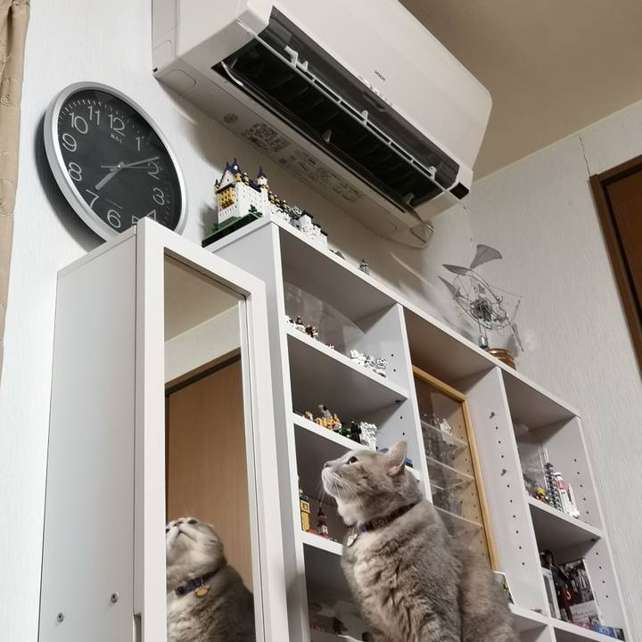 6808bfc2 fc9c 4d9f b233 8687e5526f13 1573785253622